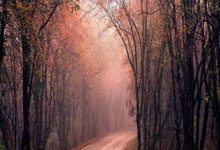 梅西真的要来中国比赛了吗？这次会带来哪些惊喜？