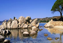 女足直播平台该如何选择?资深球迷分享实用指南